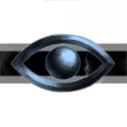 Vision RUU future