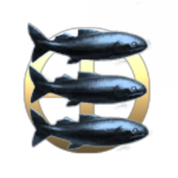School of Fishh