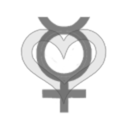 The Gang Bang Squadron