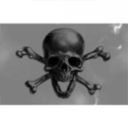 The Dread Pirate Robert's Corp.