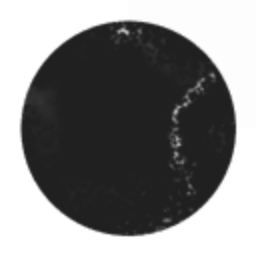 Union of free Pilots by Caldari