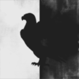 BLACK KORP