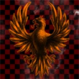 The Dark Knight Warrior's