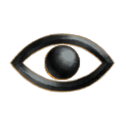 THIS CORP HAS NO NAME
