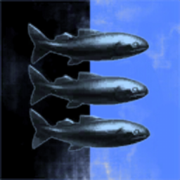 Fish Corporation