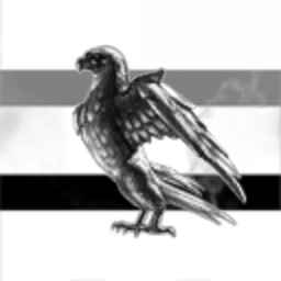 Raven Enterprises Inc.