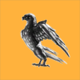 Space Black Kite