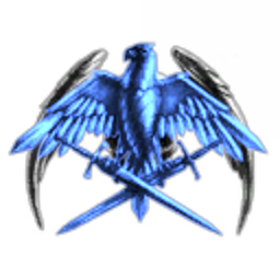 31st Elite Attack Squadron