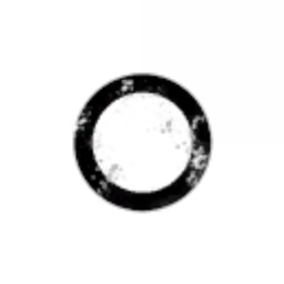Moongoo Inc
