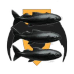 Seize The Fish