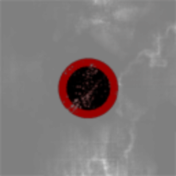Xolti Sect