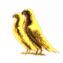 Dust514 Corporation 98180016