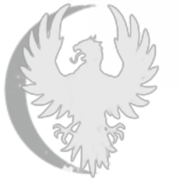 Midnight Security Consulting