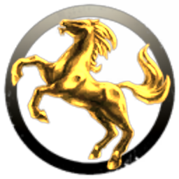 Space-Pony