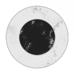 Deep Space Surveillance and Reconnaissance Inc.