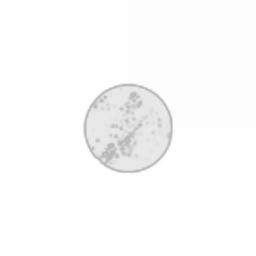 Dust514 Corporation 98195215