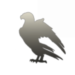 Pintails Inc.