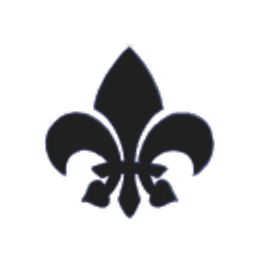 Science and Industry Institute