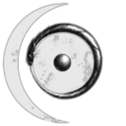 Dust514 Corporation 98199378