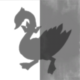 Duality.