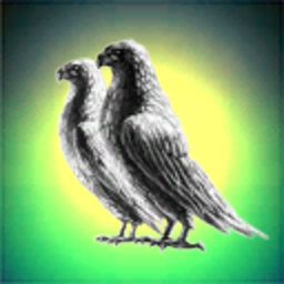 PTBR union