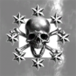 TX OUTLAW BROTHERHOOD