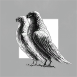 Dust514 Corporation 98227321