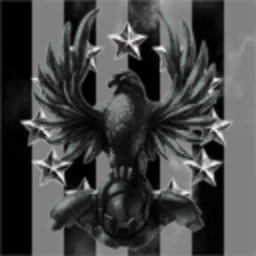 Dust514 Corporation 98227773