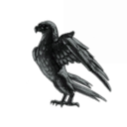 Black Raven Incorporated
