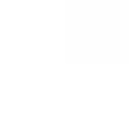 Tax Evezion