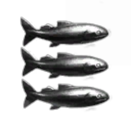 Ussur Amur Fish