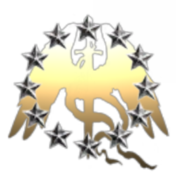 D.S.E Industries