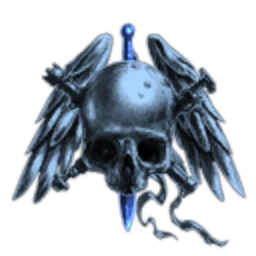 Special Tactics Squadron GHOSTS