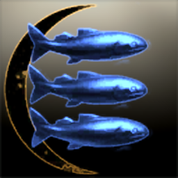 Acipenser stellatus