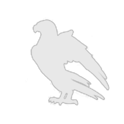 EVE Central Bank Financial Division