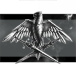 Dust514 Corporation 98245319