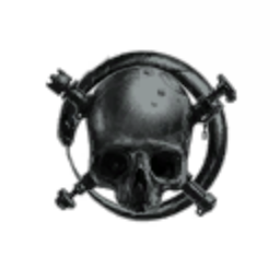 The Forgotten Squadron