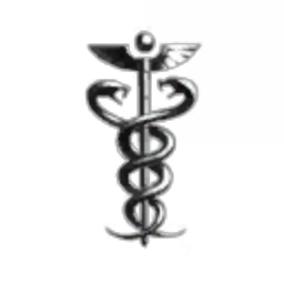 The Yves Corporation