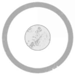 The Cosmic Egg