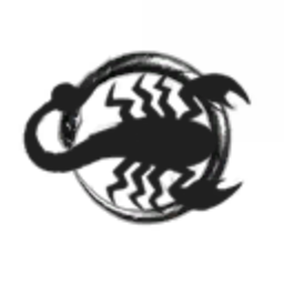 S.corp.ion