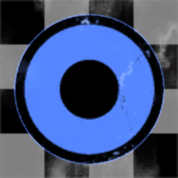 Shadow Of Life Inc.
