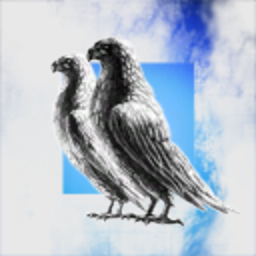 WhiteBirds