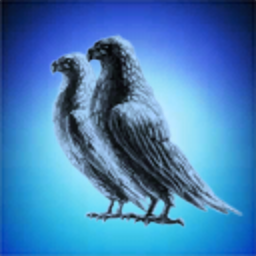 Eagle Vision Corporation