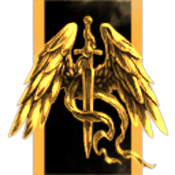 1st Echelon Combat Operations