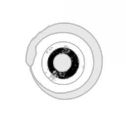 Ouroboros Null