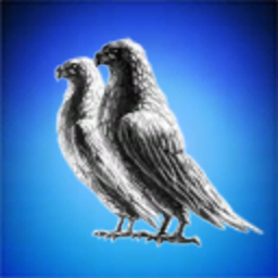 Blue Birds Corp