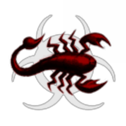 220th Scorpion Sqaudron