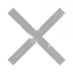 Really not a Corp