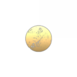 Baba Moon