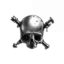 skull valkyrie